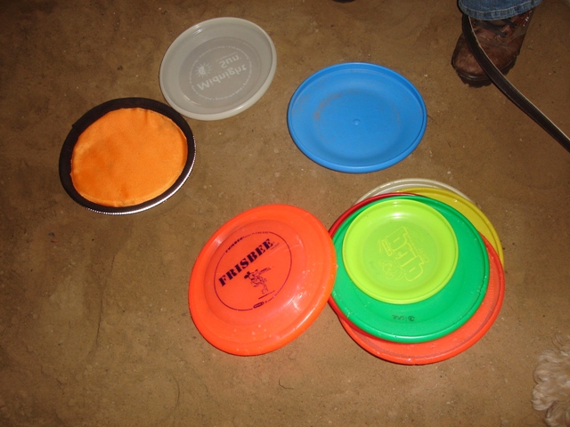 frisbees